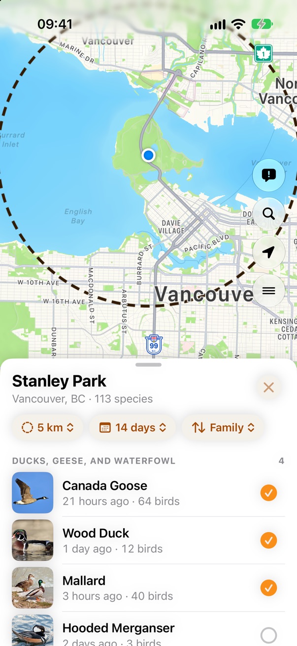 Nearby birds, grouped by family