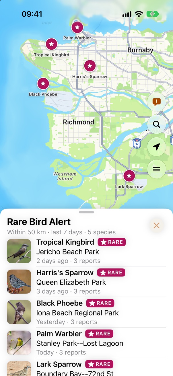 Rare Bird Alert