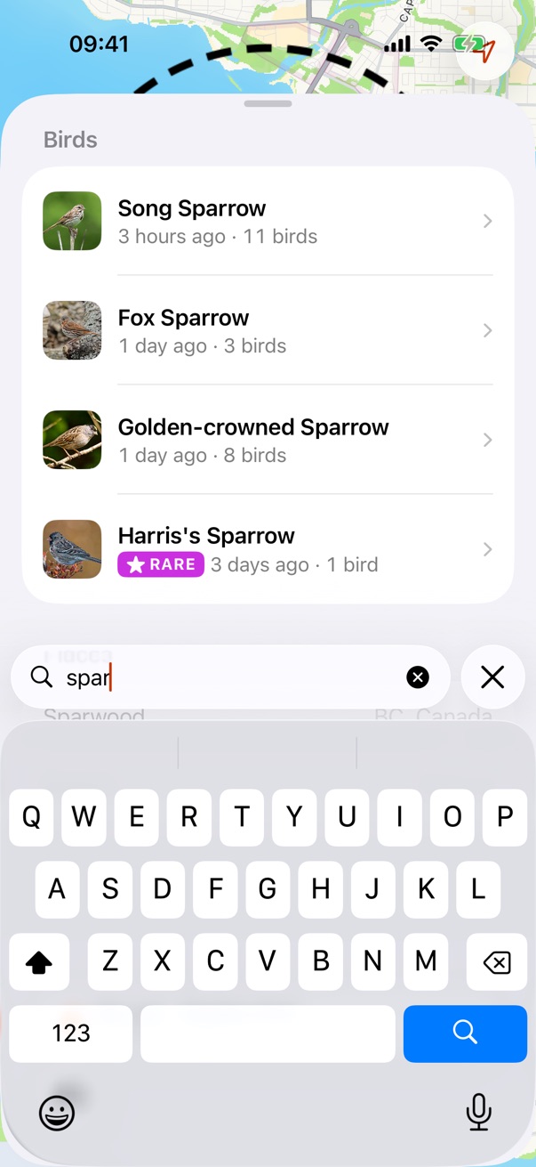 iOS 26.5: typing “spar”, the field rides above the keyboard