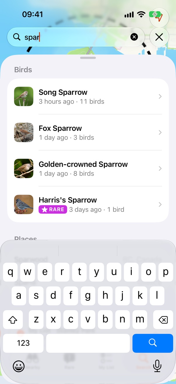 iOS 27: typing “spar”, the field moves to the top