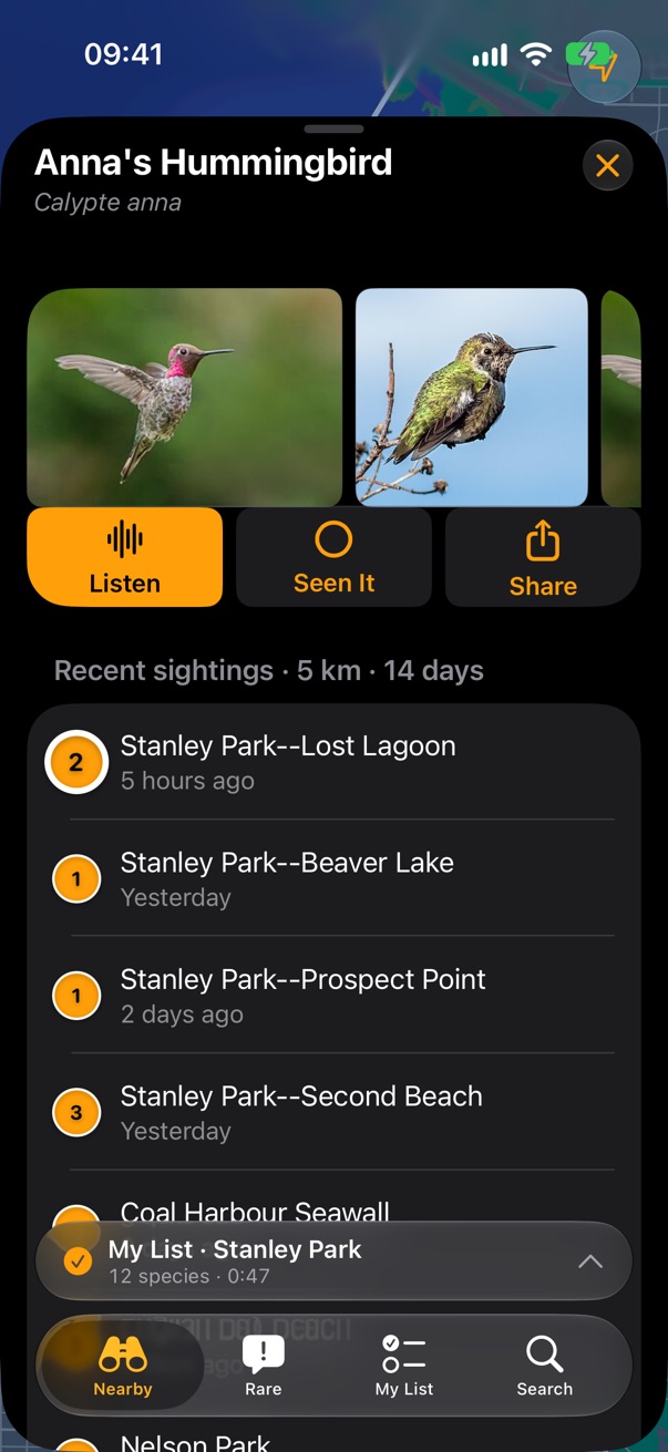 A bird